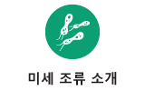 미세 조류 소개