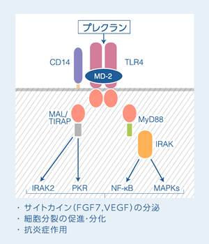 私たちの研究成果