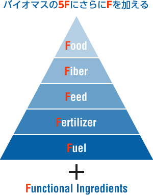バイオマスの6F