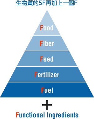 生物質的5F再加上一個F