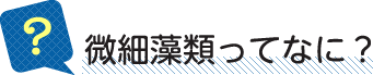 微細藻類ってなに？