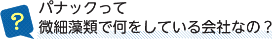 パナックって微細藻類で何をしている会社なの？