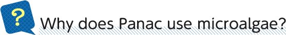 Why does Panac use microalgae?